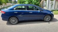 CIAZ ALPHA