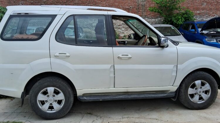 SAFARI STORME VX