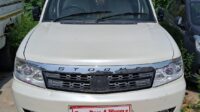 SAFARI STORME EX