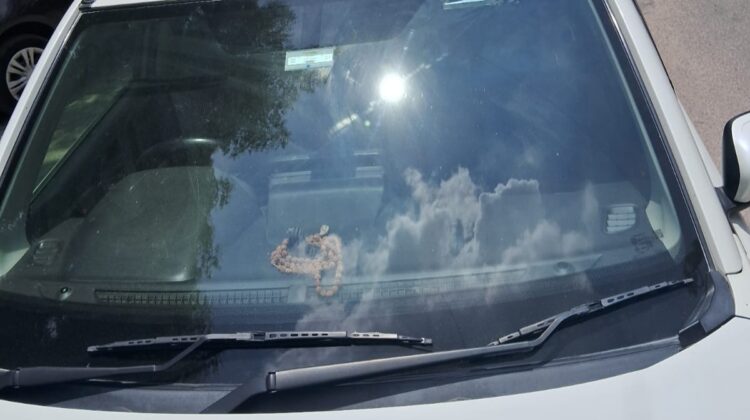 GRAND VITARA SMART HYBRID ALPHA