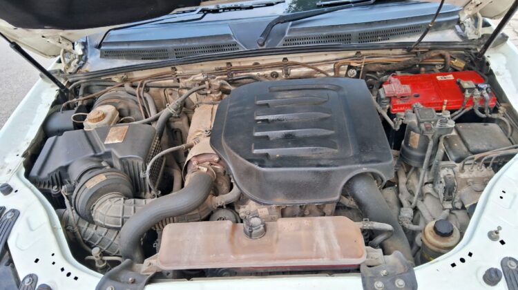 SCORPIO S-11 CLASSIC