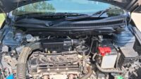 CIAZ ALPHA