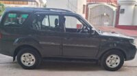 STORME EX