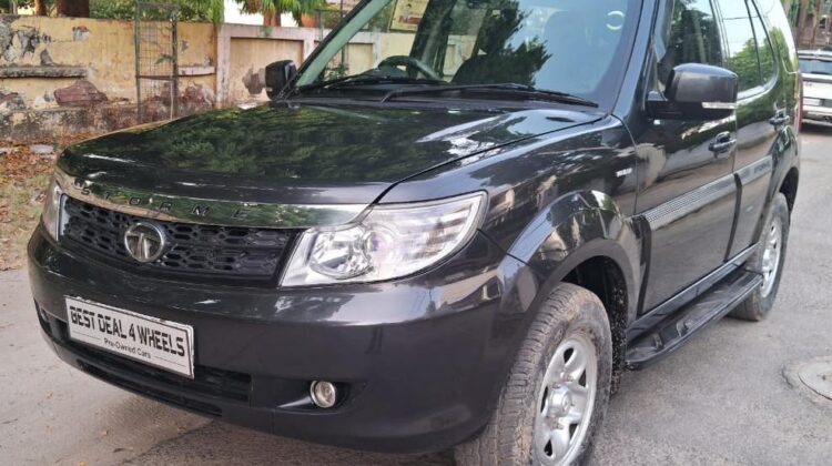 STORME EX