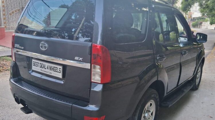 STORME EX