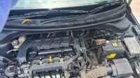 VERNA 1.5 SX